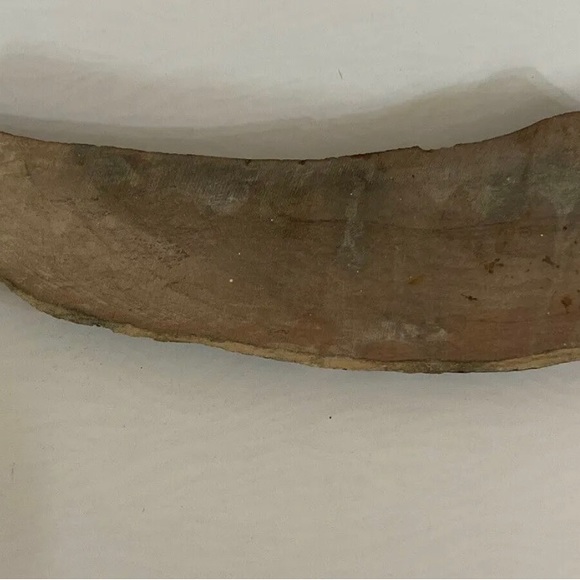 Small Polished Petrified Wood Full Slab w Bark 7 1/x 21/2” x 1/2” 10.3 oz. - Picture 5 of 5